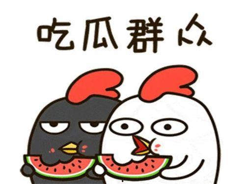 每天娛樂吃瓜,娛樂圈新鮮事速遞