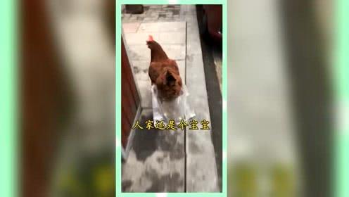熟悉娛樂(lè)吃瓜群眾,揭秘明星幕后故事，吃瓜群眾獨(dú)家解讀